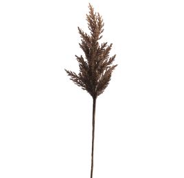 LARGE SINGLE PLUM 90CM BROWN