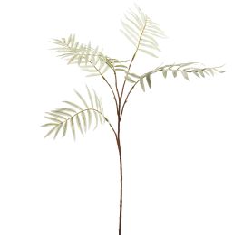 CHAMAEDOREA SPRAY X5 77CM GREY