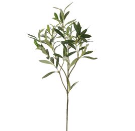 OLIVE SPRAY GREEN