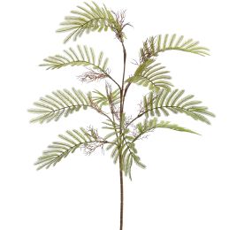 WILD MIMOSA SPRAY 78CM GREEN