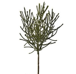 CORAL PICK 28CM GREEN