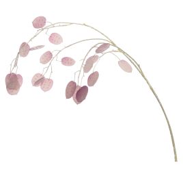 PEARL SILVER DOLLAR 96CM LILAC