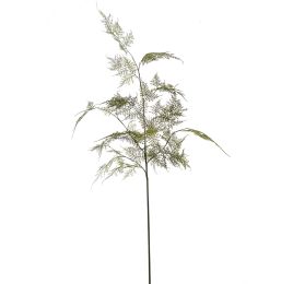 ASPARAGUS SPRAY 120CM GREEN