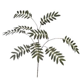 ELDERBERRY LEAF SPRAY 115CM GREEN