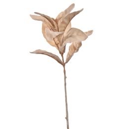 FLOCKED LAMBS EAR LEAF 35CM BEIGE