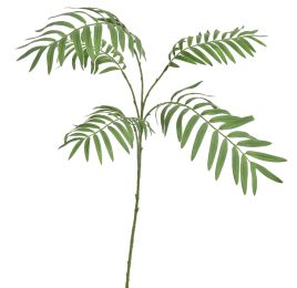 CHAMEADOREA SPRAY 85CM GREEN