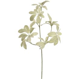 SHEFFLERA SPRAY 65CM GREEN