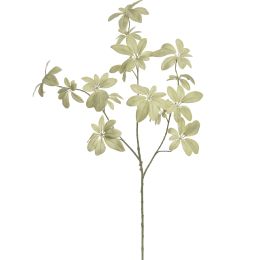LARGE SHEFFLERA SPRAY 95CM GREEN
