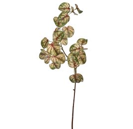 BRANDI PHILO LEAF 77CM GREEN RED
