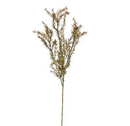 ROSEMARY 90CM GREEN RED