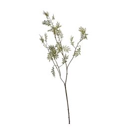 MIMOSA LEAVES SPRAY 92CM GREEN