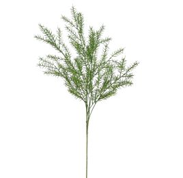 SPRENGERI BRANCH 104CM GREEN