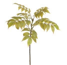 ELDERBERRY CLOUD 76CM GREEN RED