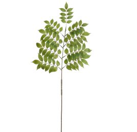 FLAT ELDERBERRY 135CM GREEN