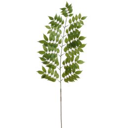 LARGE FLAT ELDERBERRY 155CM GREEN