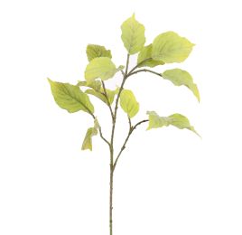 FLOCKED PERILLA LEAF 80CM LIGHT GREEN