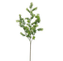 ASPARAGUS 70CM GREEN