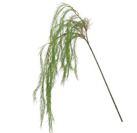 HANGING SPRENGERI 110CM GREEN