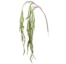 RHIPSALIS 125CM GREEN