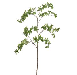 JAPANESE ENKIANTHUS LEAF 157CM GREEN