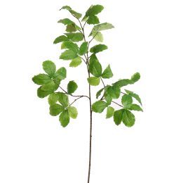 BEECH LEAVES 160CM GREEN