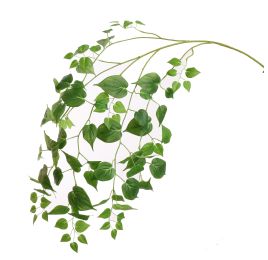 EVERGREEN LEAF 181CM GREEN