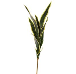 SNAKE PLANT STEM 80CM GREEN YELLOW