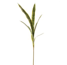 SNAKE PLANT STEM 120CM GREEN YELLOW