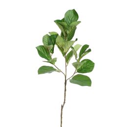 FICUS LYRATA 95CM GREEN