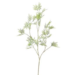 MIMOSA LEAVES SPRAY 120CM GREEN