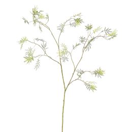 SLIM MIMOSA LEAVES SPRAY 130CM GREEN