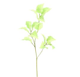 STINGING NETTLE 75CM GREEN