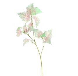 STINGING NETTLE 75CM GREEN PINK