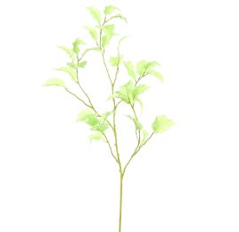 STINGING NETTLE 115CM GREEN