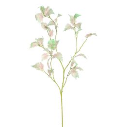STINGING NETTLE 115CM GREEN PINK