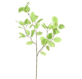 BEECH LEAF 121CM GREEN