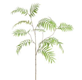 CHAMAEDOREA SPRAY 133CM GREEN