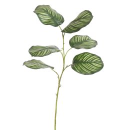CALATHEA LEAF 117CM GREEN