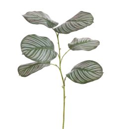 CALATHEA LEAF 117CM GREY
