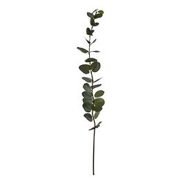 SINGLE EUCALYPTUS 84CM GREEN