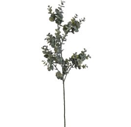 EUCALYPTUS 72CM GREEN