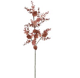 EUCALYPTUS 72CM MASSALA