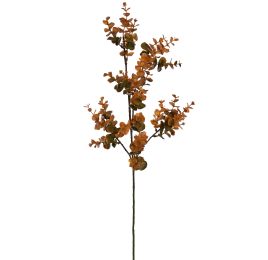 EUCALYPTUS 72CM OCRE