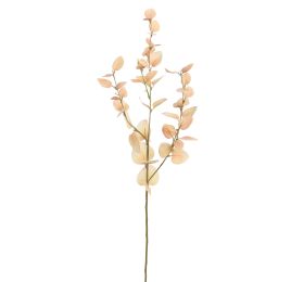 PASTEL EUCALYPTUS 80CM BEIGE