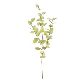 PASTEL EUCALYPTUS 80CM MINT