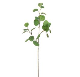 EUCALYPTUS 75CM GREEN