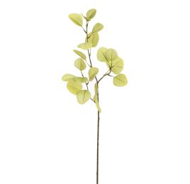 EUCALYPTUS 75CM LIGHT GREEN