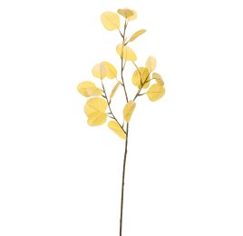 EUCALYPTUS 75CM YELLOW