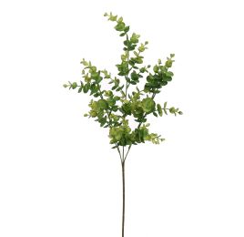 EUCALYPTUS 70CM GREEN