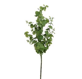 EUCALYPTUS 55CM GREEN
